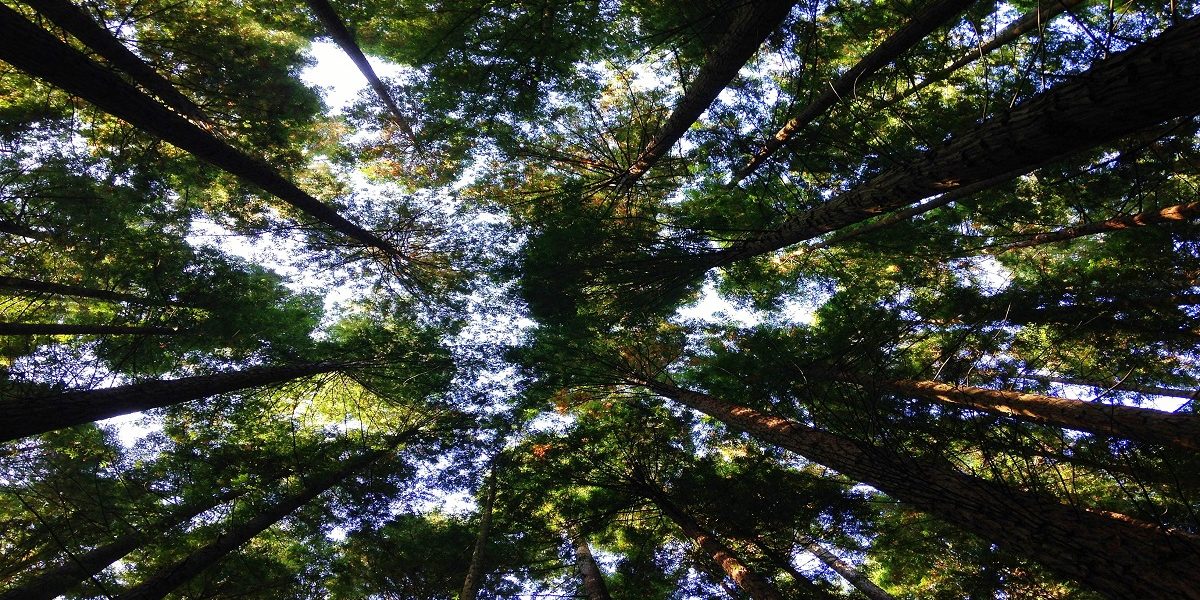 Climate change on the agenda at all Ireland council chief executive meeting