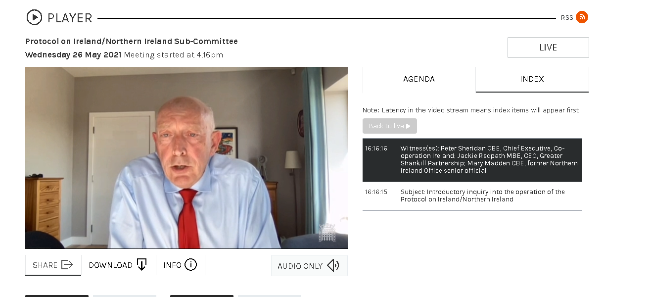 CEO Peter Sheridan addresses Commons and Lords committees on the NI Protocol