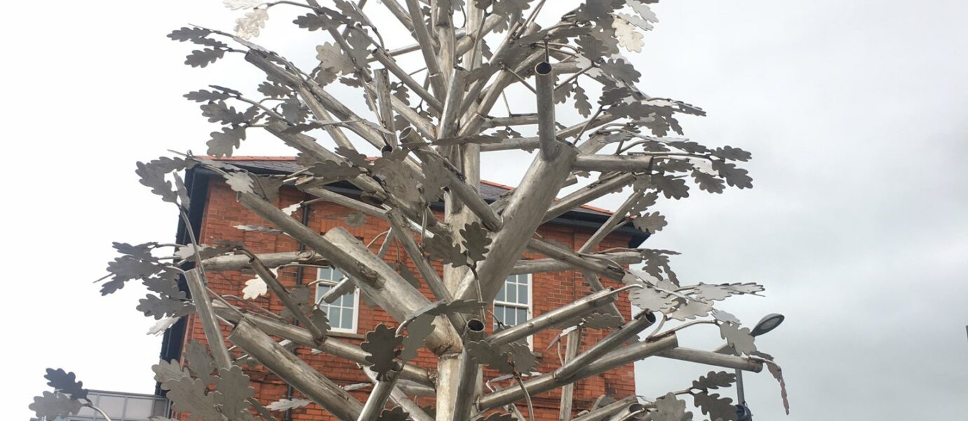 Co-operation Ireland #45in45 – Amazing the Space Peace Tree